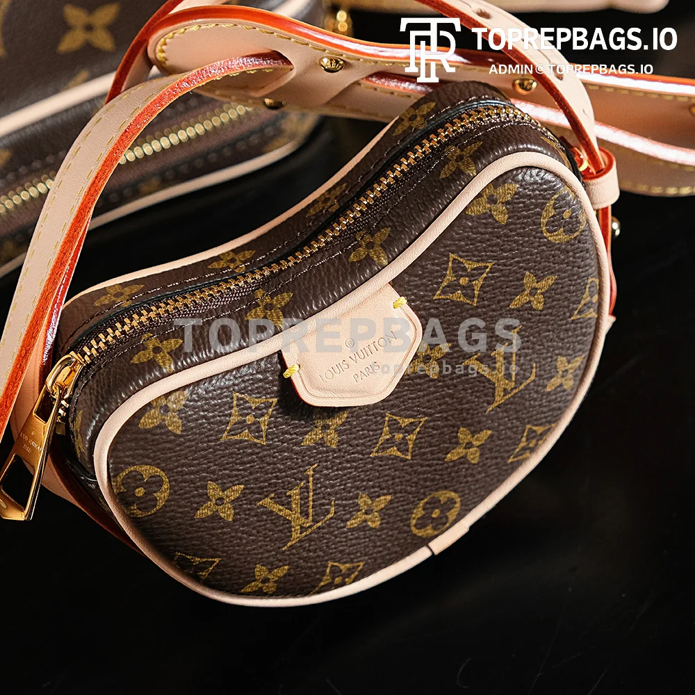 a1718703579264_6075 Louis Vuitton Croissant in Brown