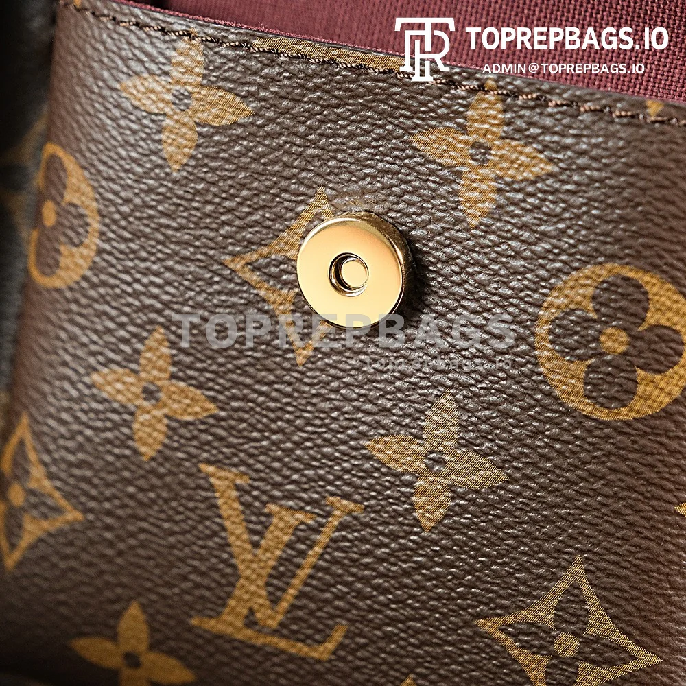 a1719394854539_3318 Louis Vuitton Vivacite in Brown