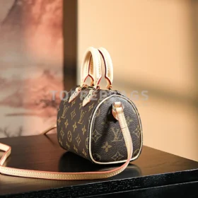 Louis Vuitton Speedy in Brown