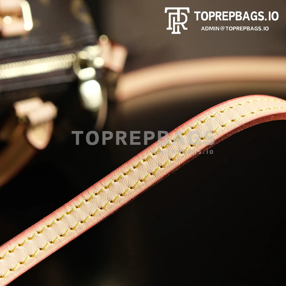 a1720089492675_1657 Louis Vuitton Speedy in Brown