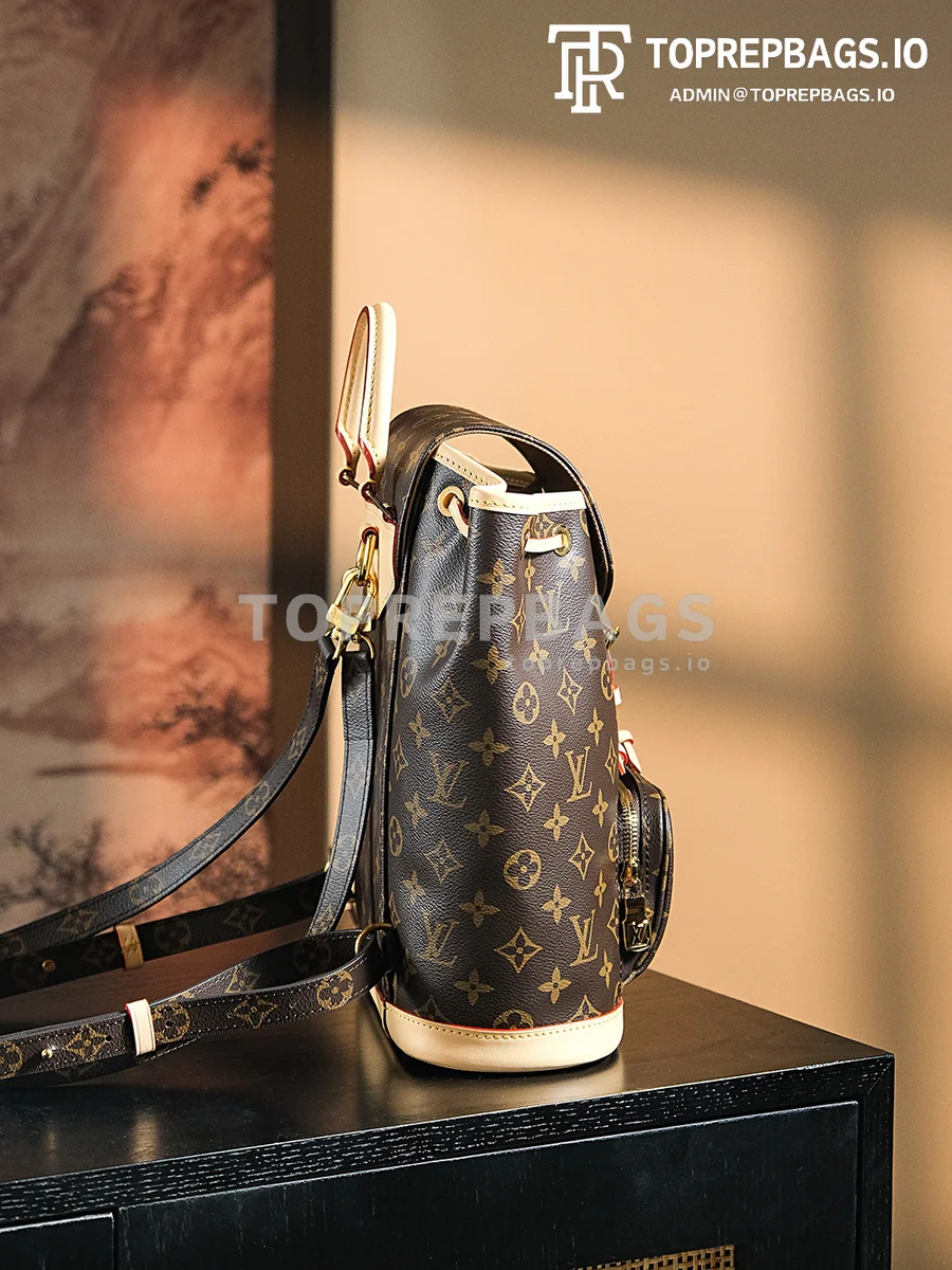 a1722602764980_2478 Louis Vuitton Montsouris in Brown