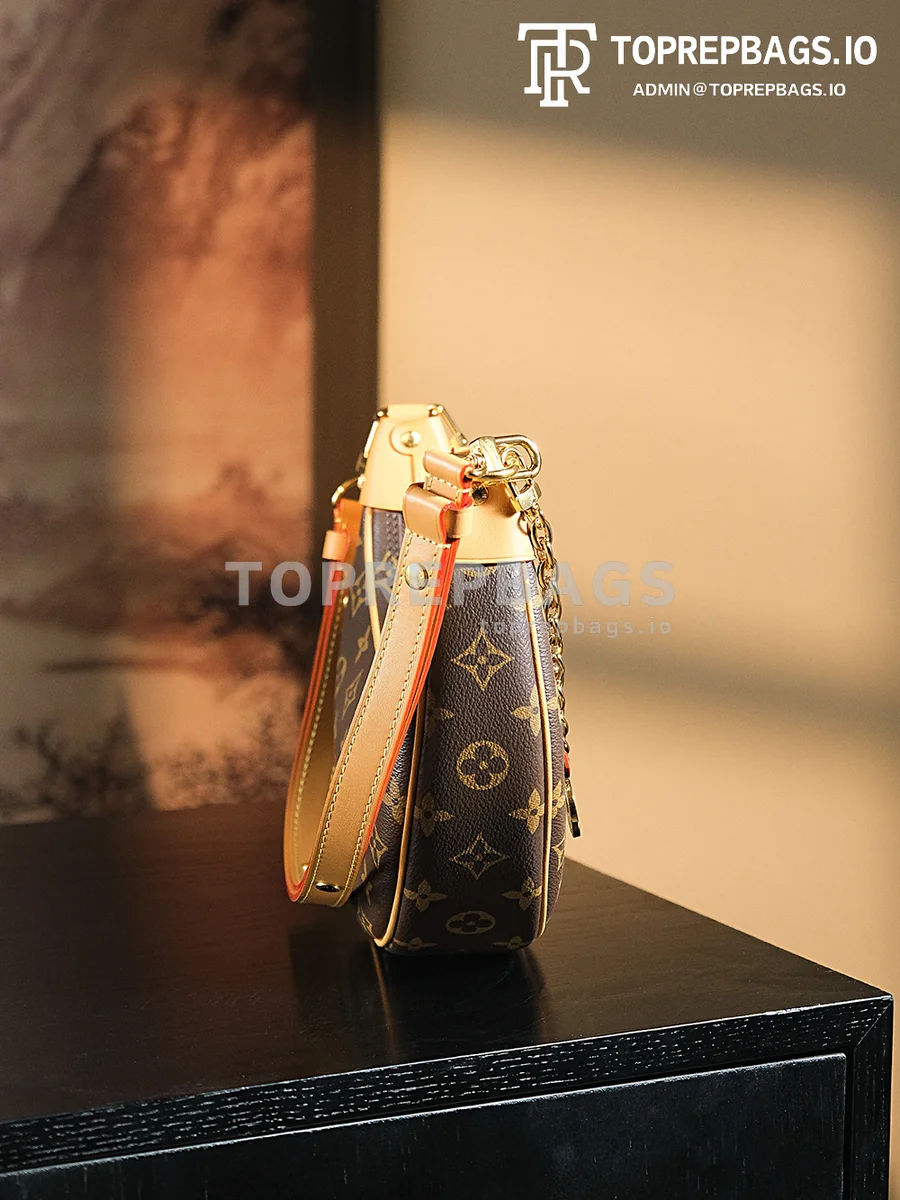 a1722949762472_5680 Louis Vuitton Loop Hobo in Brown