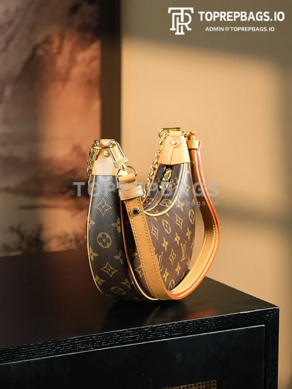 a1722949762479_5880 Louis Vuitton Loop Hobo in Brown