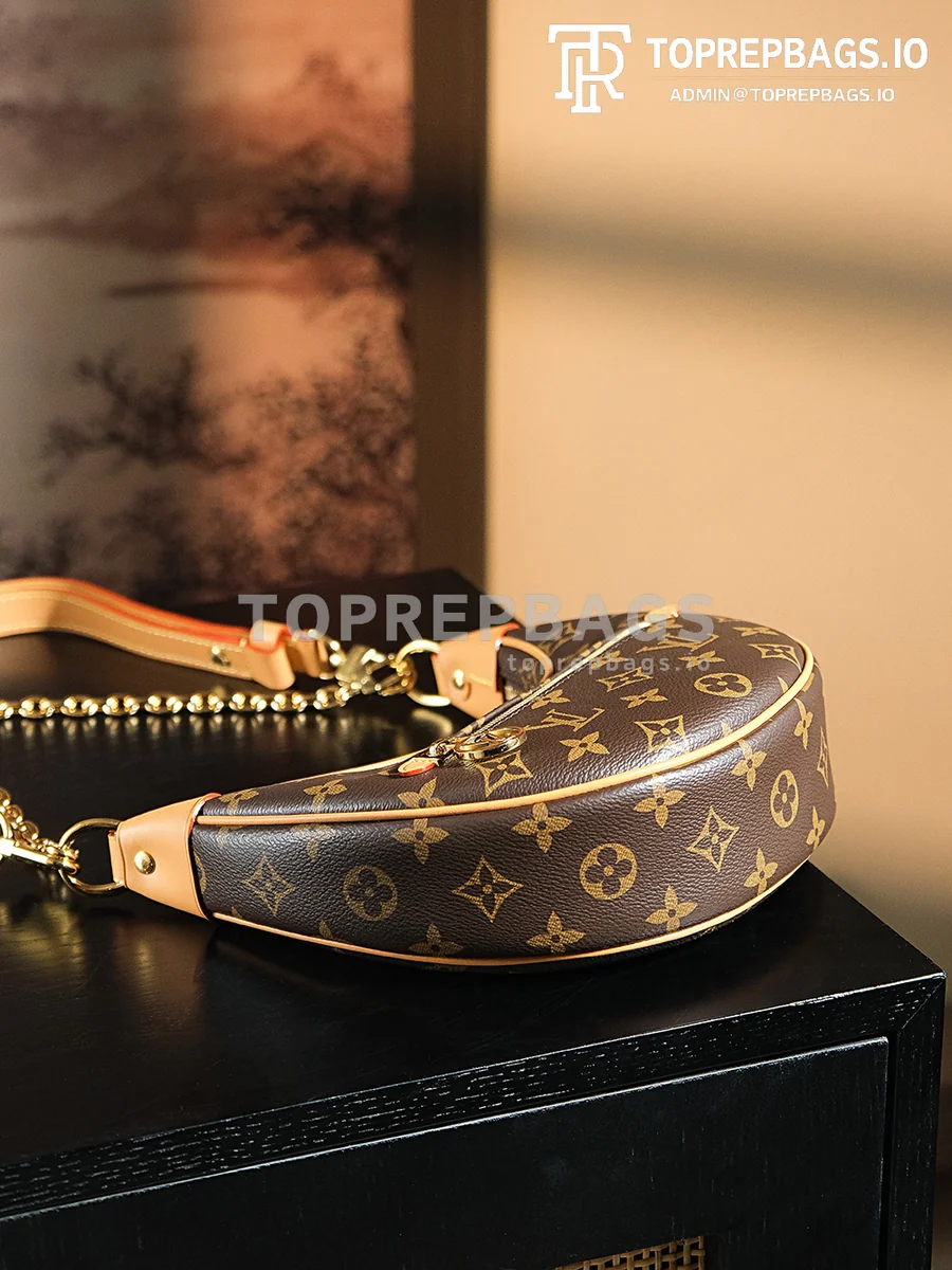 a1722949765347_0043 Louis Vuitton Loop Hobo in Brown
