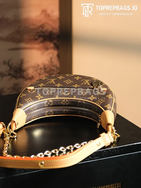 a1722949765350_8443 Louis Vuitton Loop Hobo in Brown