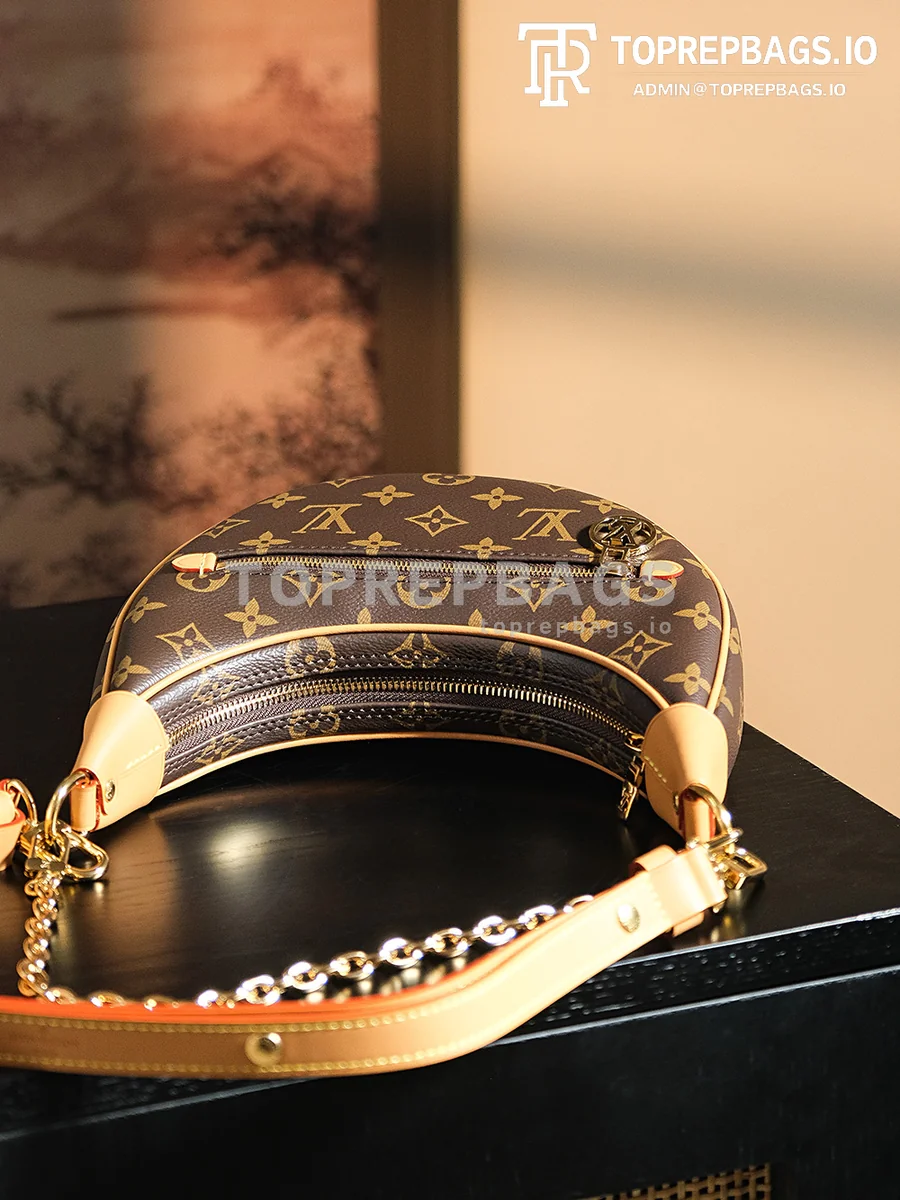 a1722949765350_8443 Louis Vuitton Loop Hobo in Brown