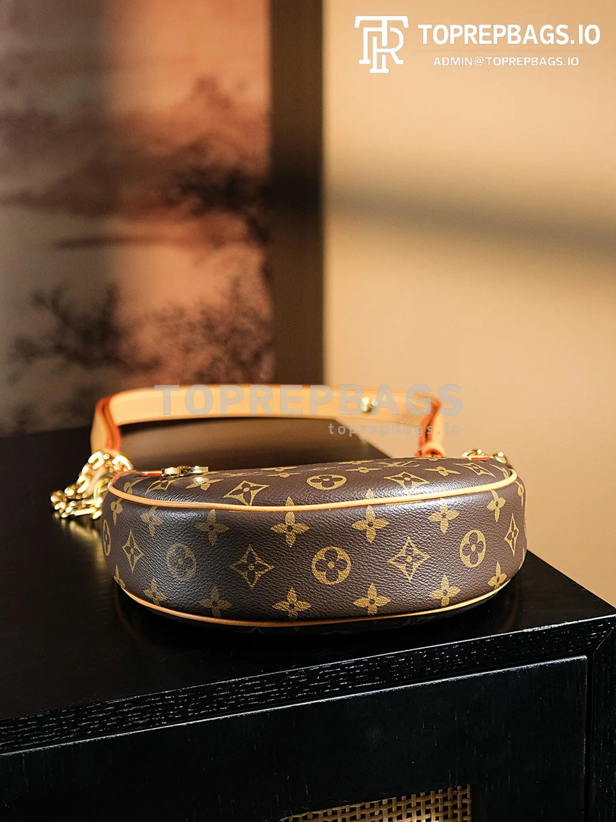 a1722949765353_2818 Louis Vuitton Loop Hobo in Brown