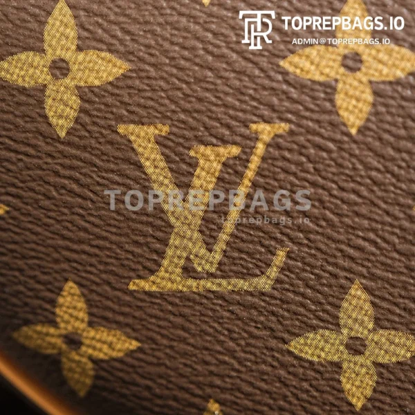 a1722949808297_4433 Louis Vuitton Loop Hobo in Brown