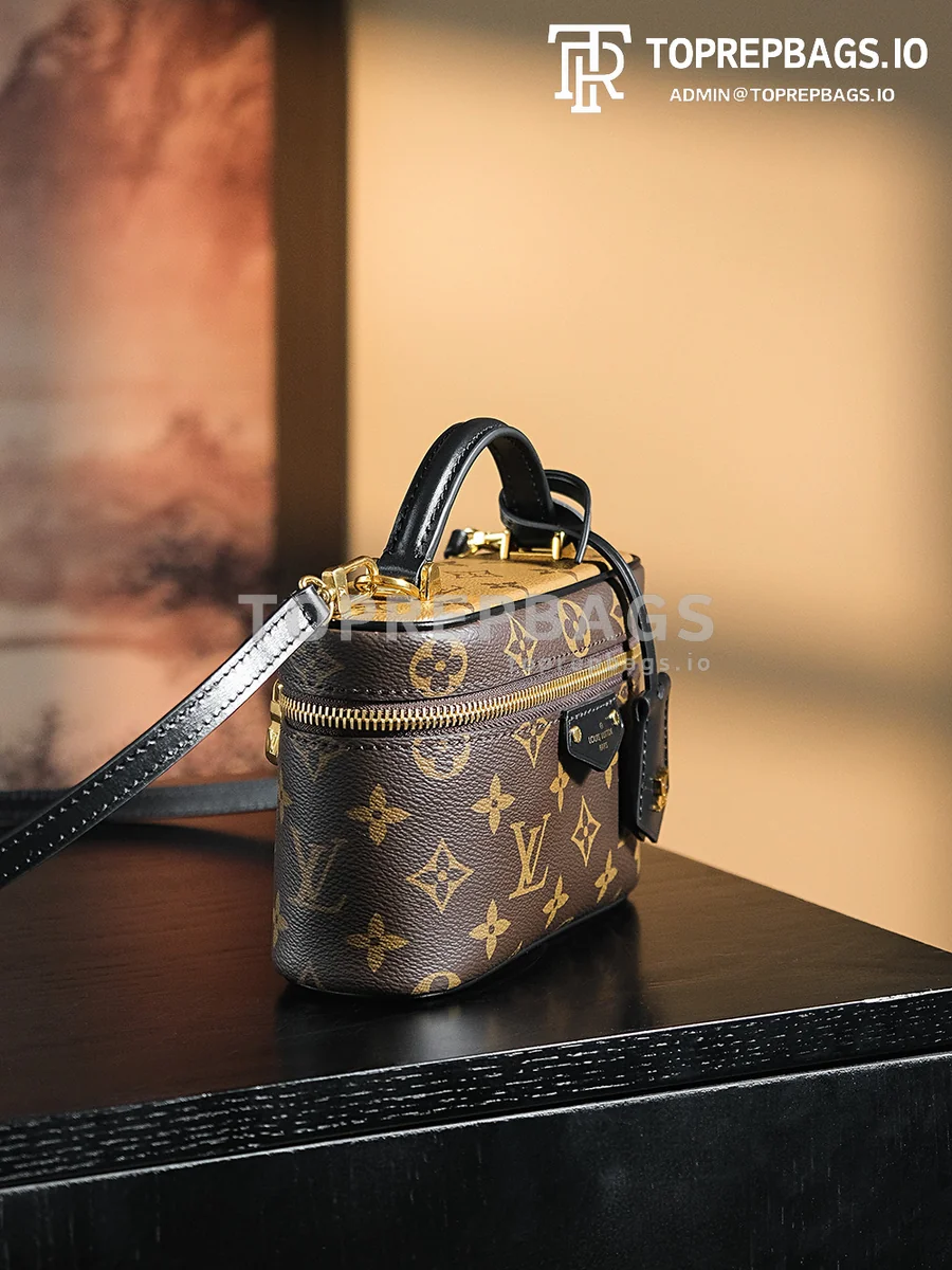 a1723208611192_5558 Louis Vuitton Vanity Chain Pouch in Brown