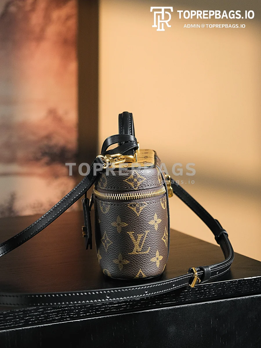 a1723208611197_7556 Louis Vuitton Vanity Chain Pouch in Brown