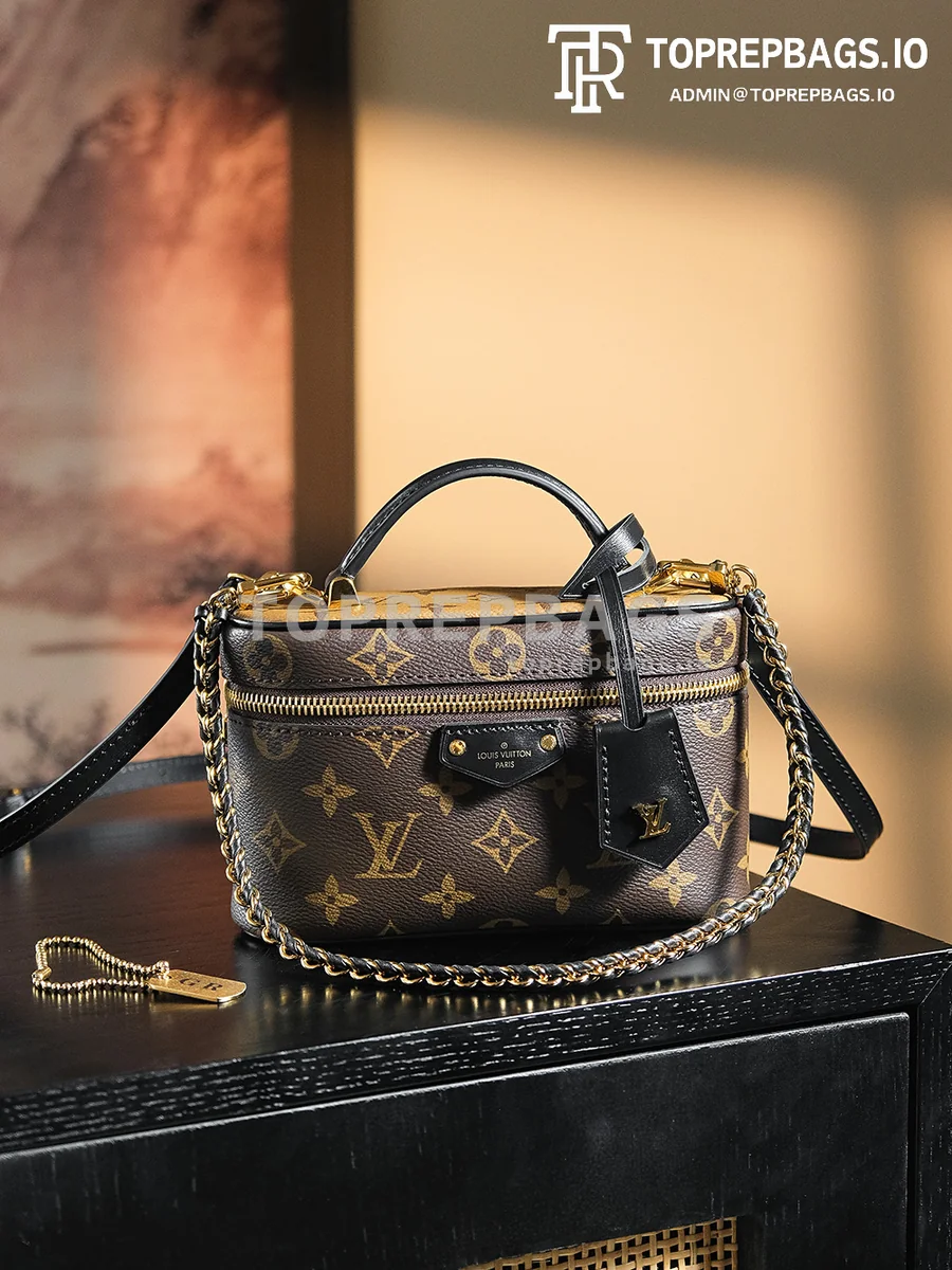 a1723208611199_8738 Louis Vuitton Vanity Chain Pouch in Brown