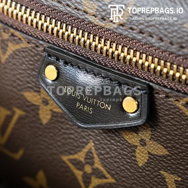 a1723208653768_0467 Louis Vuitton Vanity Chain Pouch in Brown