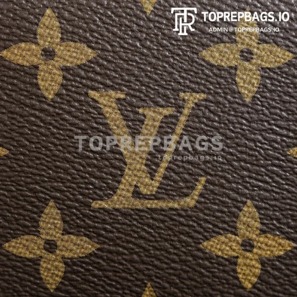 a1723208653825_3656 Louis Vuitton Vanity Chain Pouch in Brown