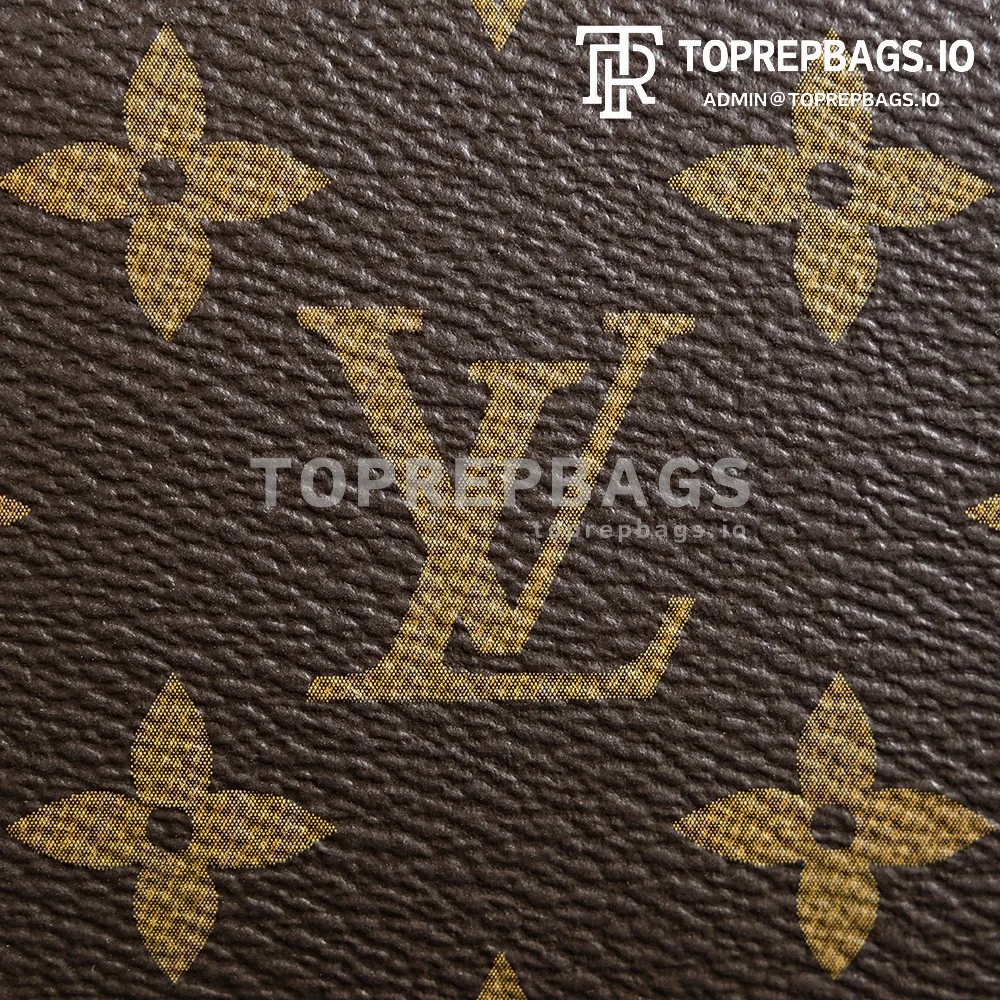 a1723208653825_3656 Louis Vuitton Vanity Chain Pouch in Brown