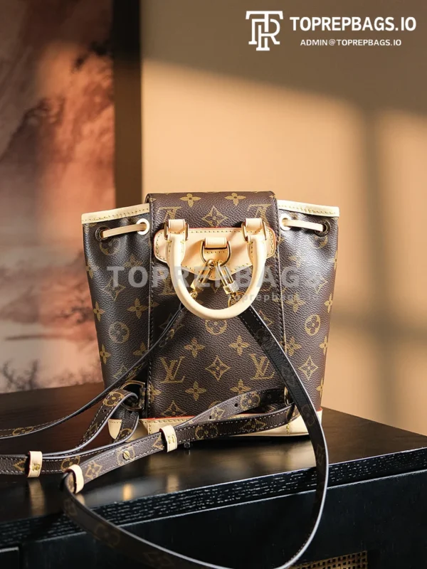 a1723728637013_3872 Louis Vuitton Montsouris in Brown