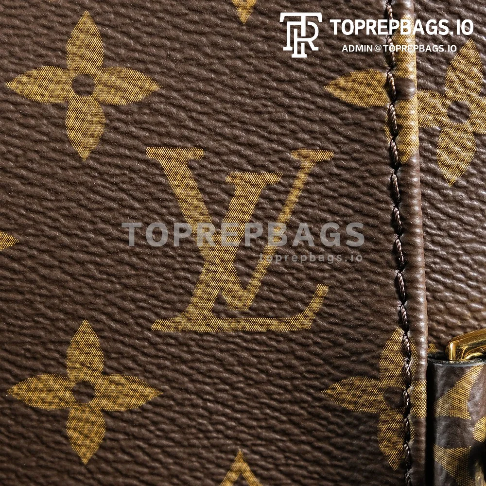 a1723728668159_8263 Louis Vuitton Montsouris in Brown