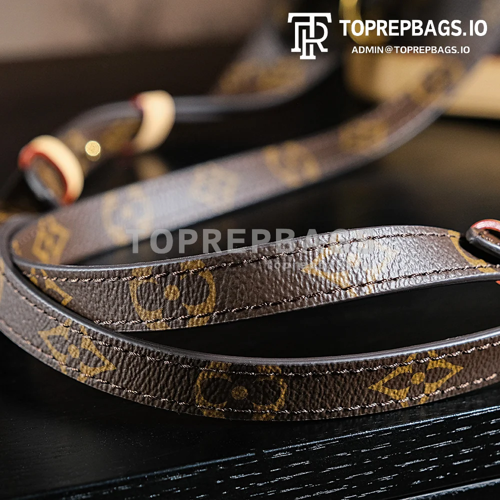 a1723728670625_0781 Louis Vuitton Montsouris in Brown