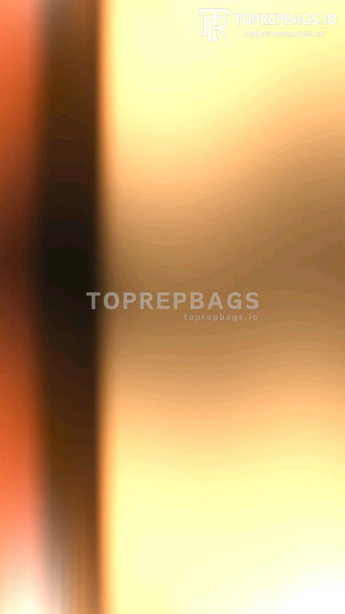 a1723728697335_8562 Louis Vuitton Montsouris in Brown