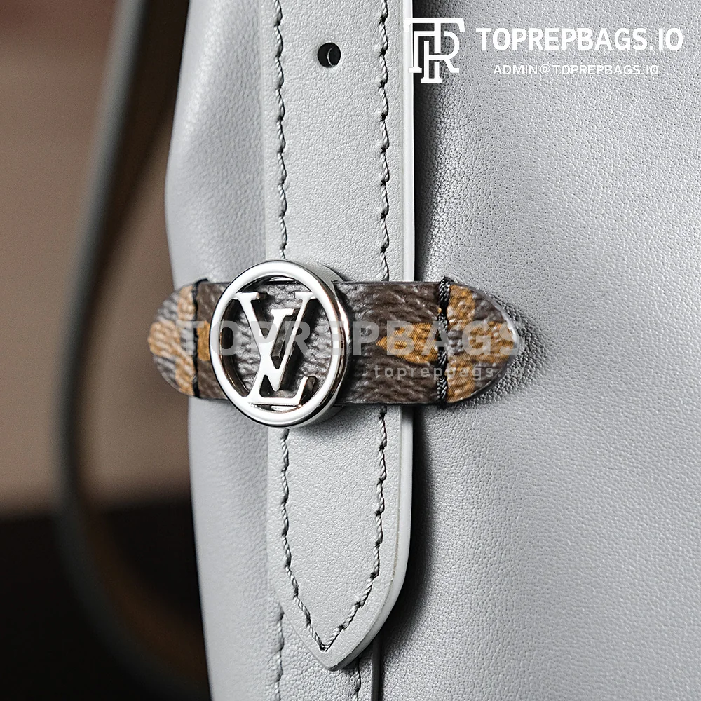 a1724852128557_2381 Louis Vuitton CarryAll in Grey