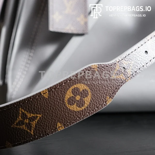 a1724852353615_0617 Louis Vuitton CarryAll in Grey