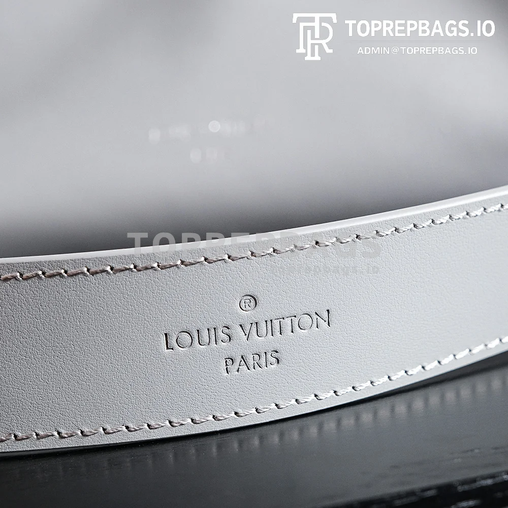 a1724852353615_5465 Louis Vuitton CarryAll in Grey