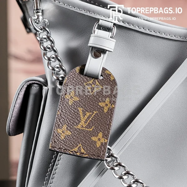 a1724852353673_1414 Louis Vuitton CarryAll in Grey