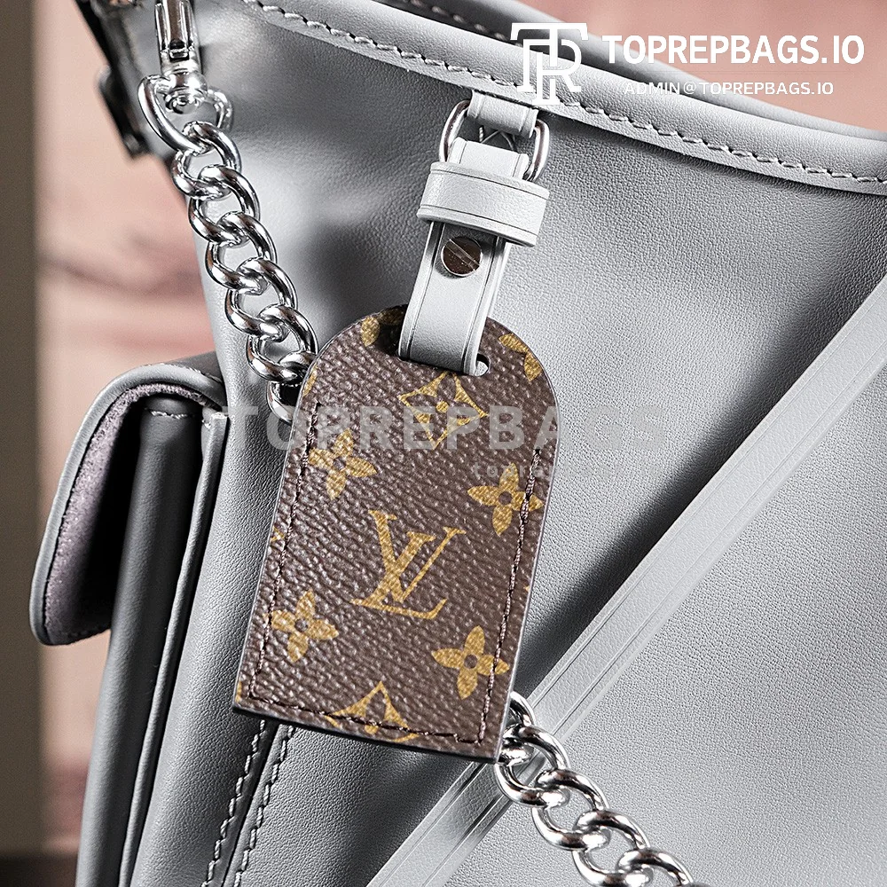 a1724852353673_1414 Louis Vuitton CarryAll in Grey
