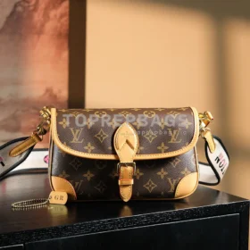 a1725106668797_0503 Louis Vuitton Diane Hobo in Brown