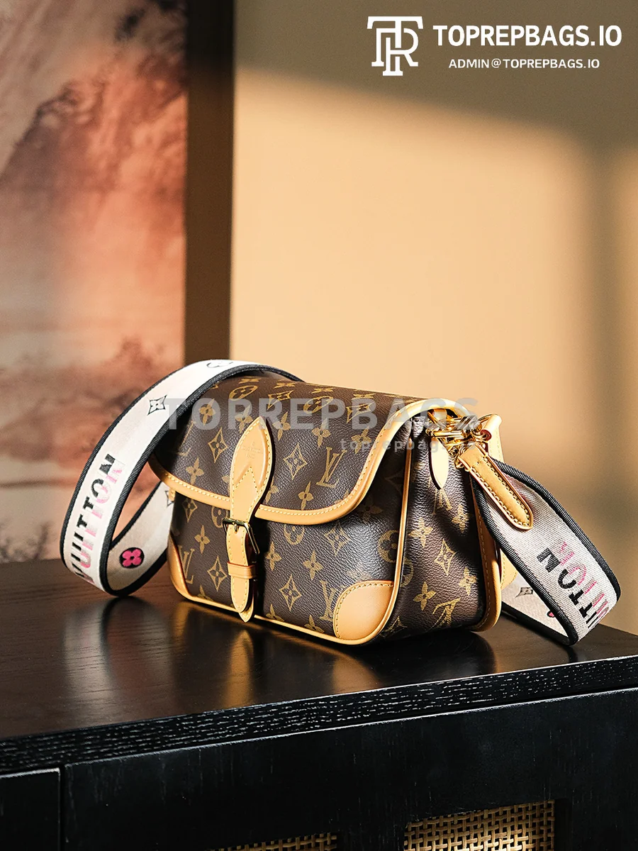 a1725106668806_0786 Louis Vuitton Diane Hobo in Brown
