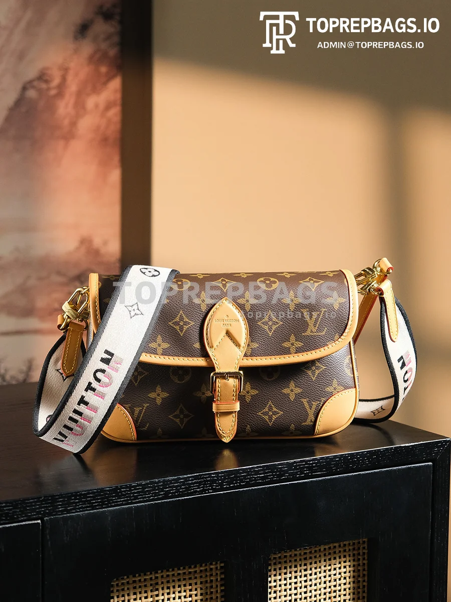 a1725106668808_2461 Louis Vuitton Diane Hobo in Brown