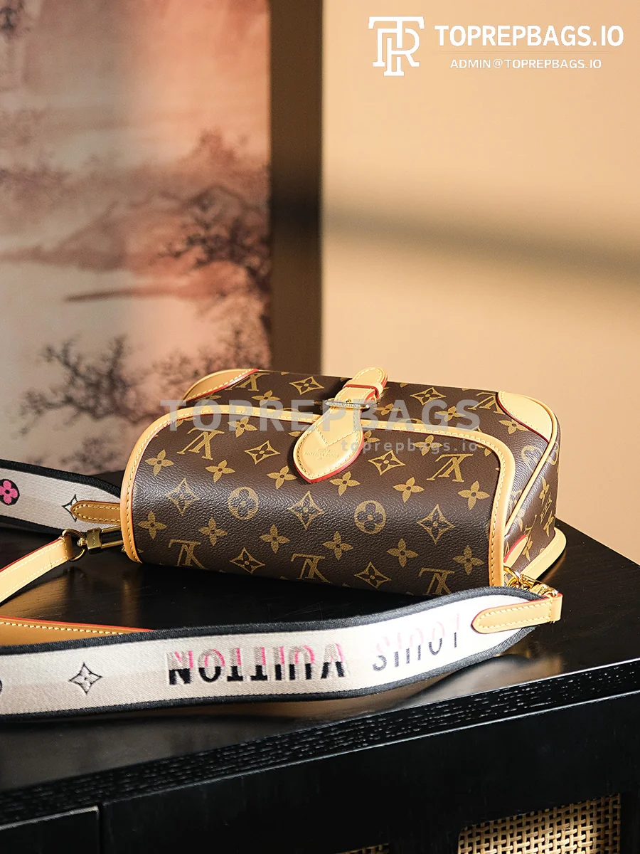 a1725106671284_2104 Louis Vuitton Diane Hobo in Brown
