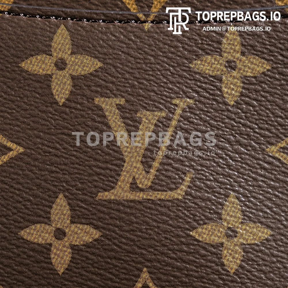 a1725106711206_3216 Louis Vuitton Diane Hobo in Brown