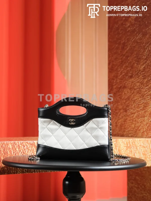 a1725980159622_3647 Chanel 31 Bag Nano in White