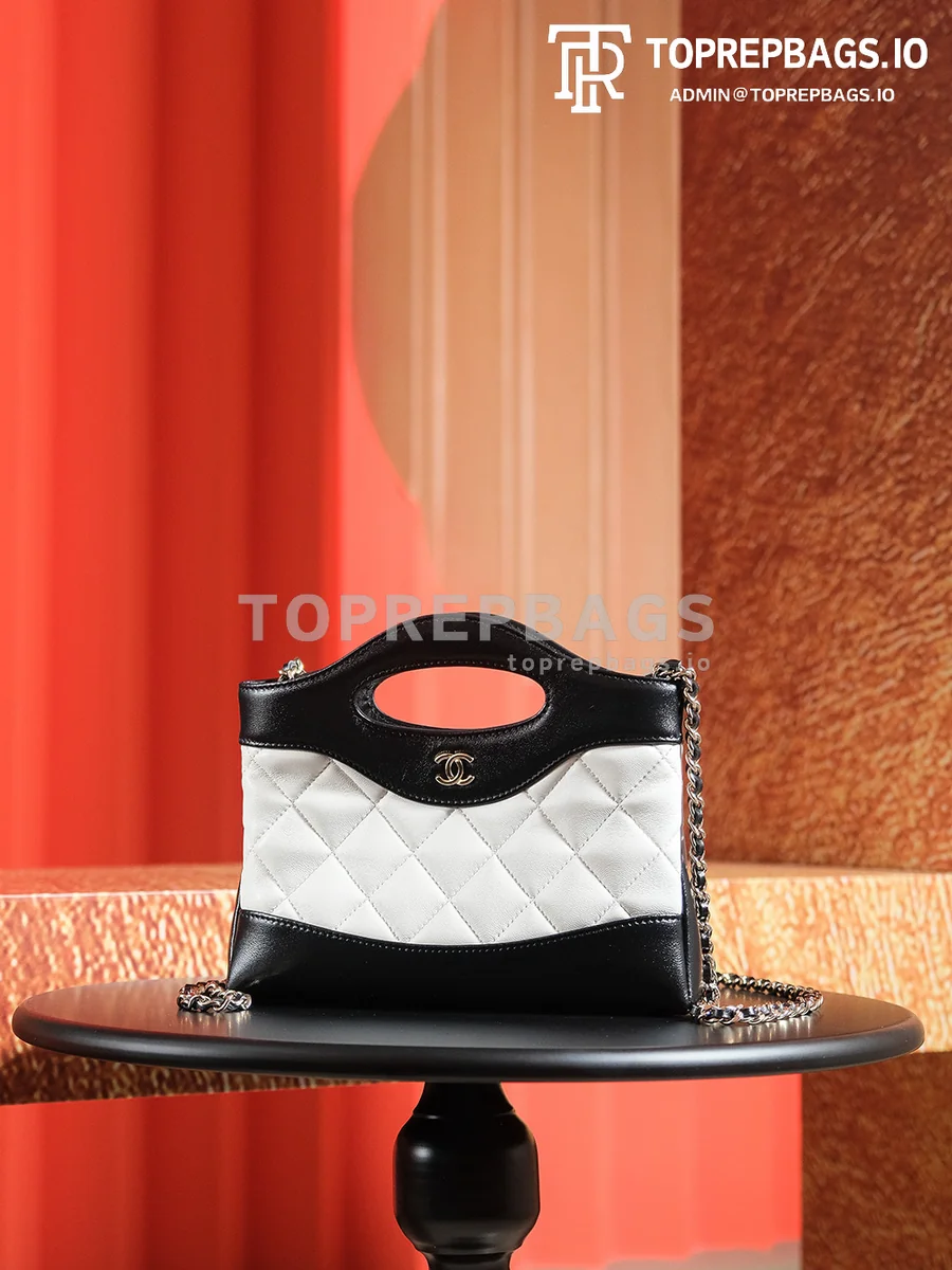 a1725980159622_3647 Chanel 31 Bag Nano in White