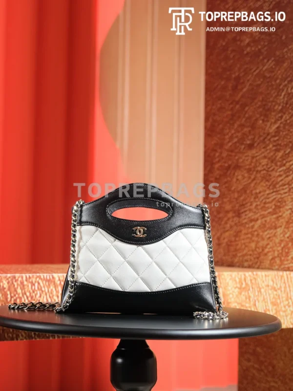 a1725980159622_6556 Chanel 31 Bag Nano in White