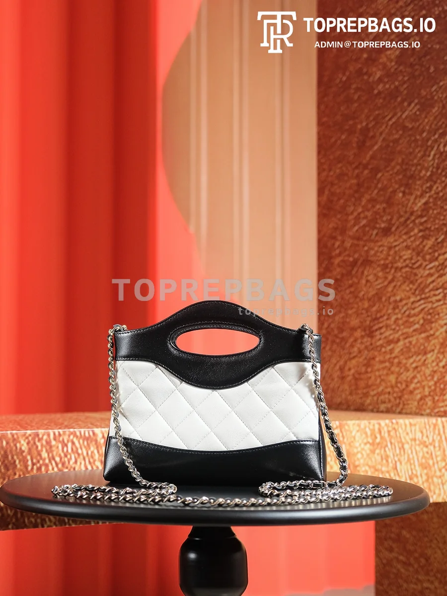 a1725980242223_3181 Chanel 31 Bag Nano in White