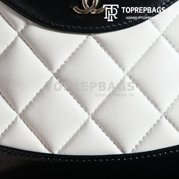a1725980273732_8002 Chanel 31 Bag Nano in White