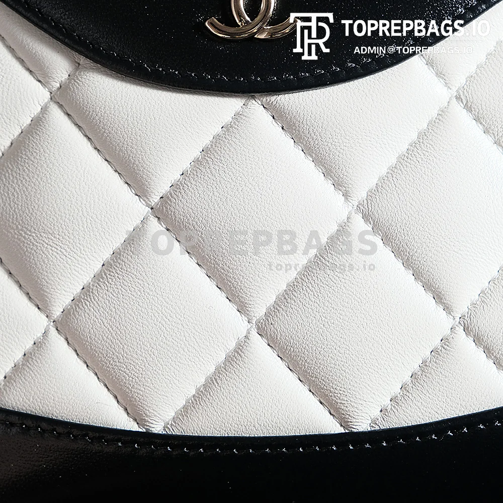 a1725980273732_8002 Chanel 31 Bag Nano in White