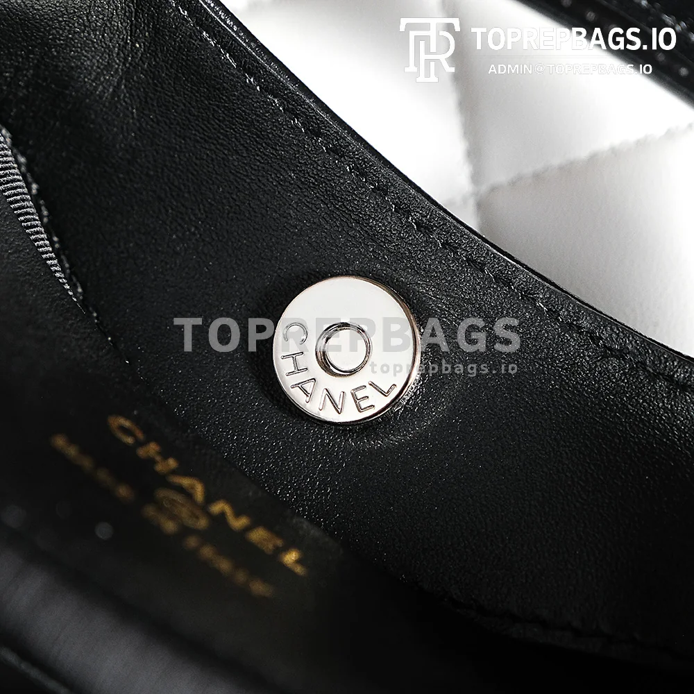 a1725980278289_0275 Chanel 31 Bag Nano in White