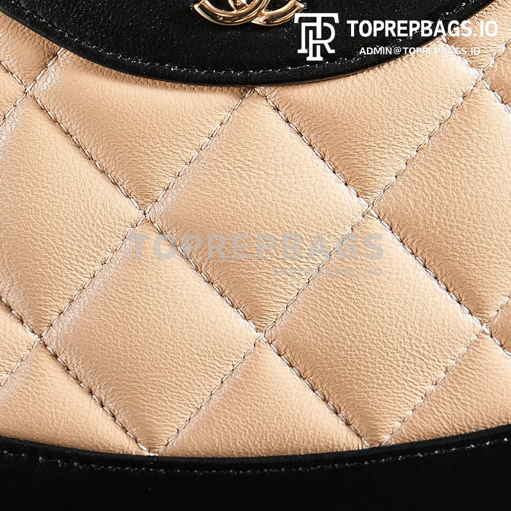 a1725980525213_2057 Chanel 31 Bag Nano in Black/Beige