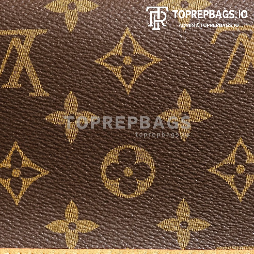 a1726936342619_5627 Louis Vuitton Nano Diane in Brown