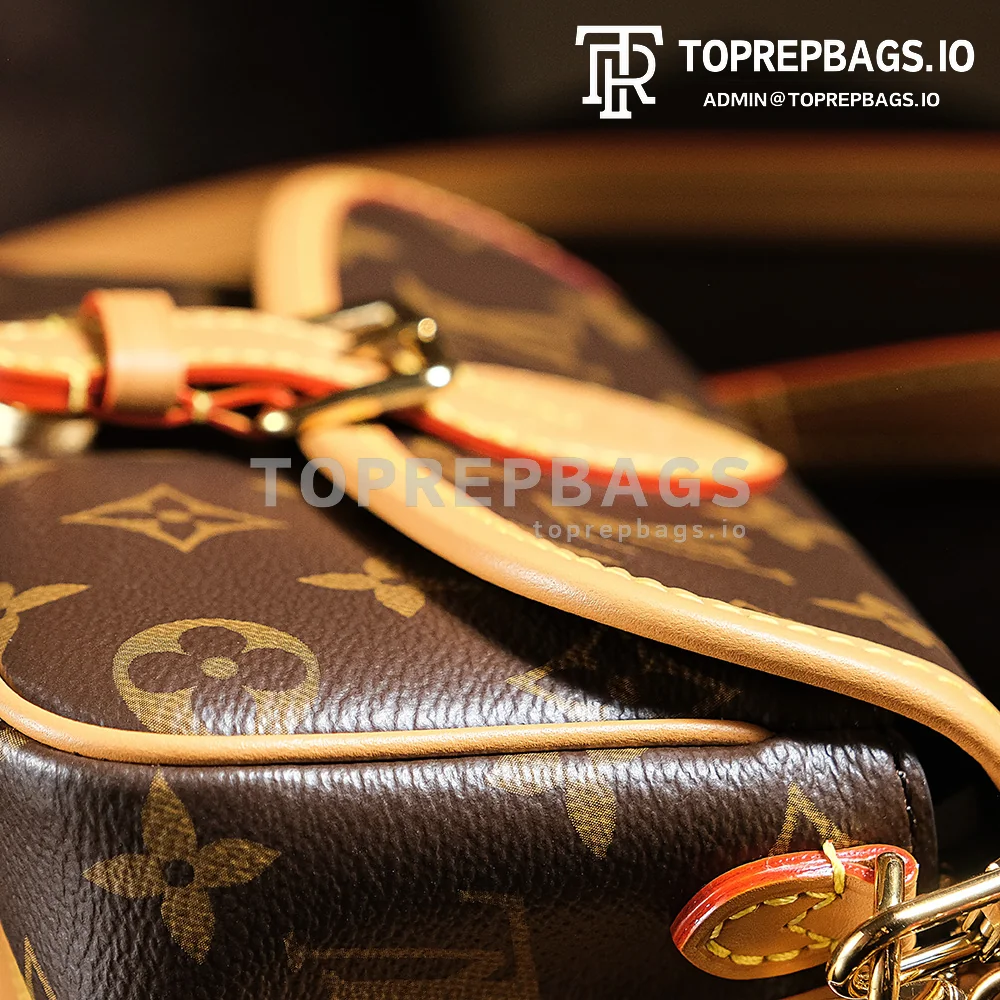 a1726936345185_1022 Louis Vuitton Nano Diane in Brown