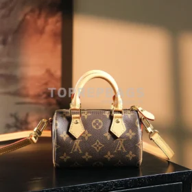 Louis Vuitton Speedy in Brown