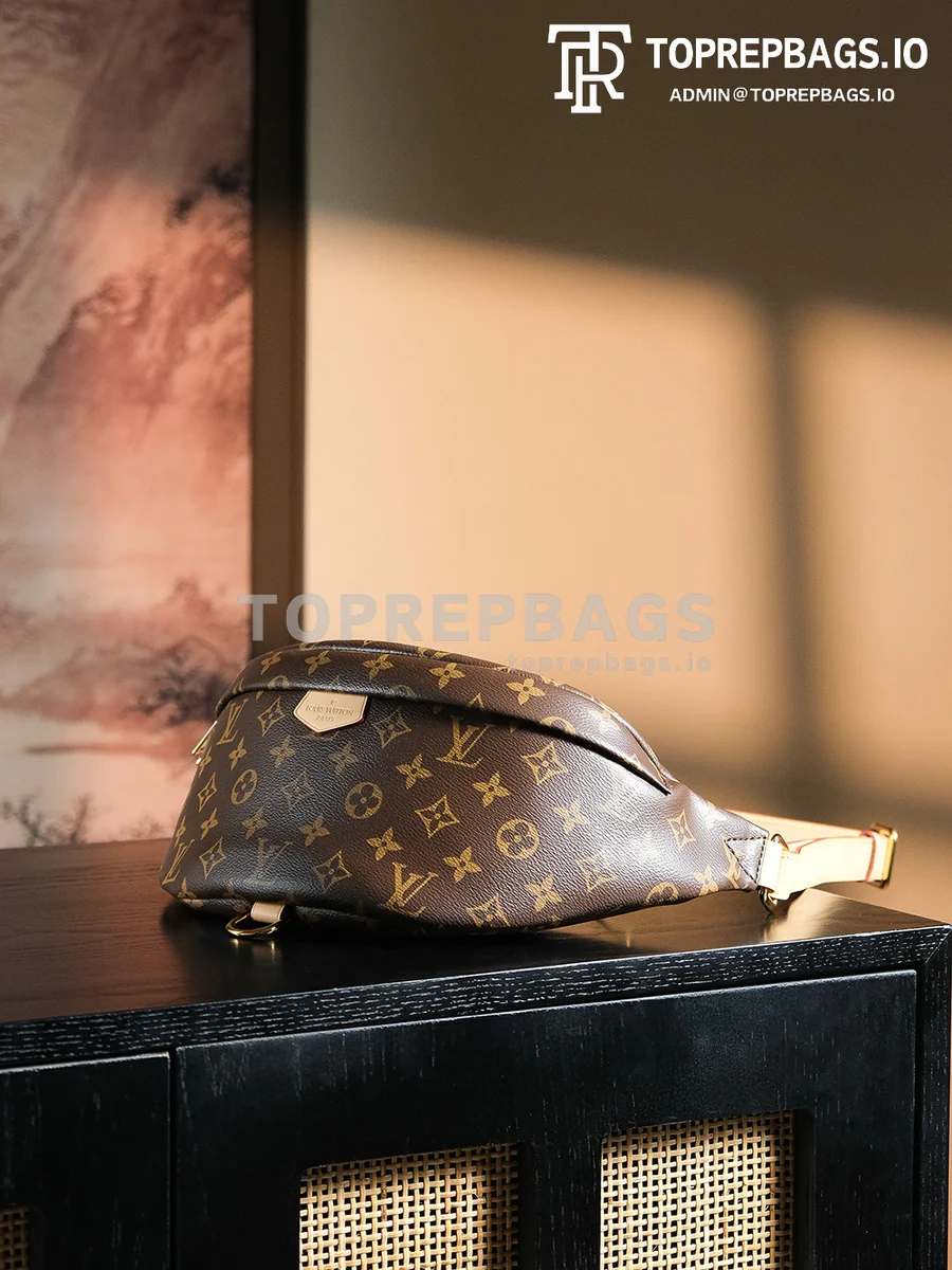 a1727438372246_7341 Louis Vuitton Bumbag in Brown
