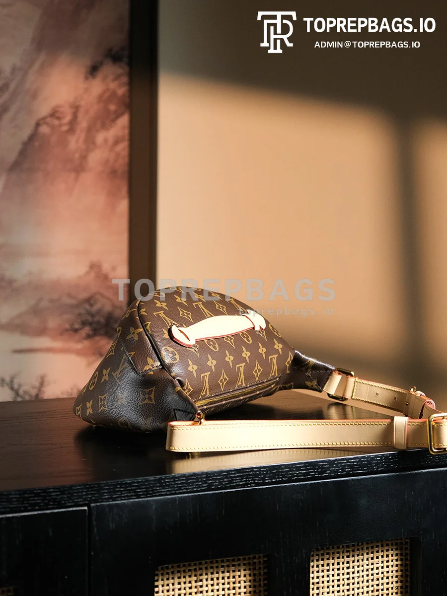 a1727438372254_0748 Louis Vuitton Bumbag in Brown