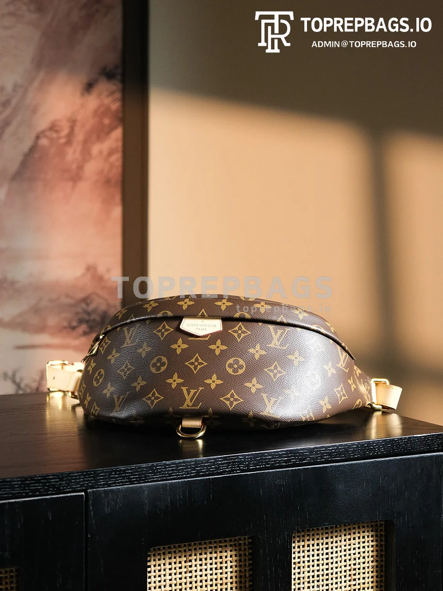 a1727438372254_2717 Louis Vuitton Bumbag in Brown