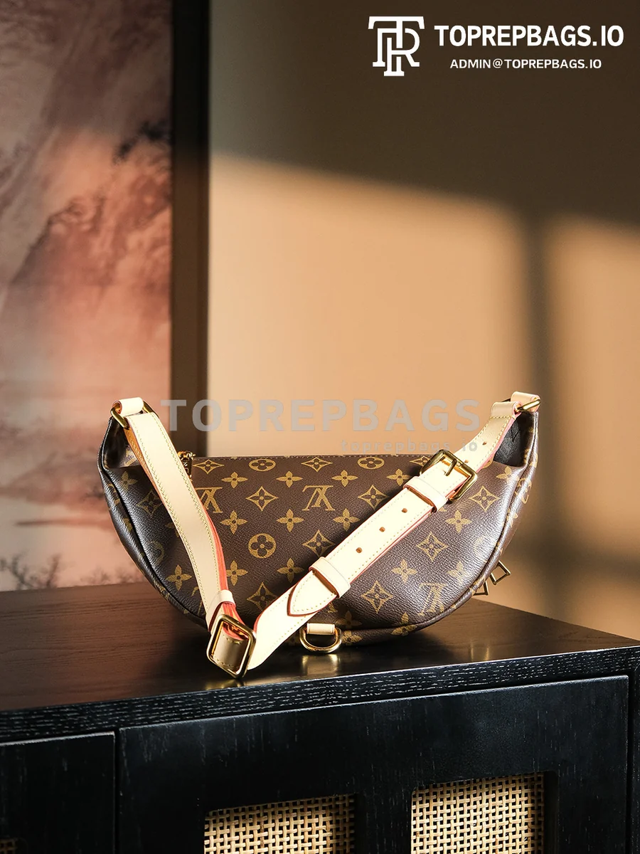a1727438372256_4855 Louis Vuitton Bumbag in Brown
