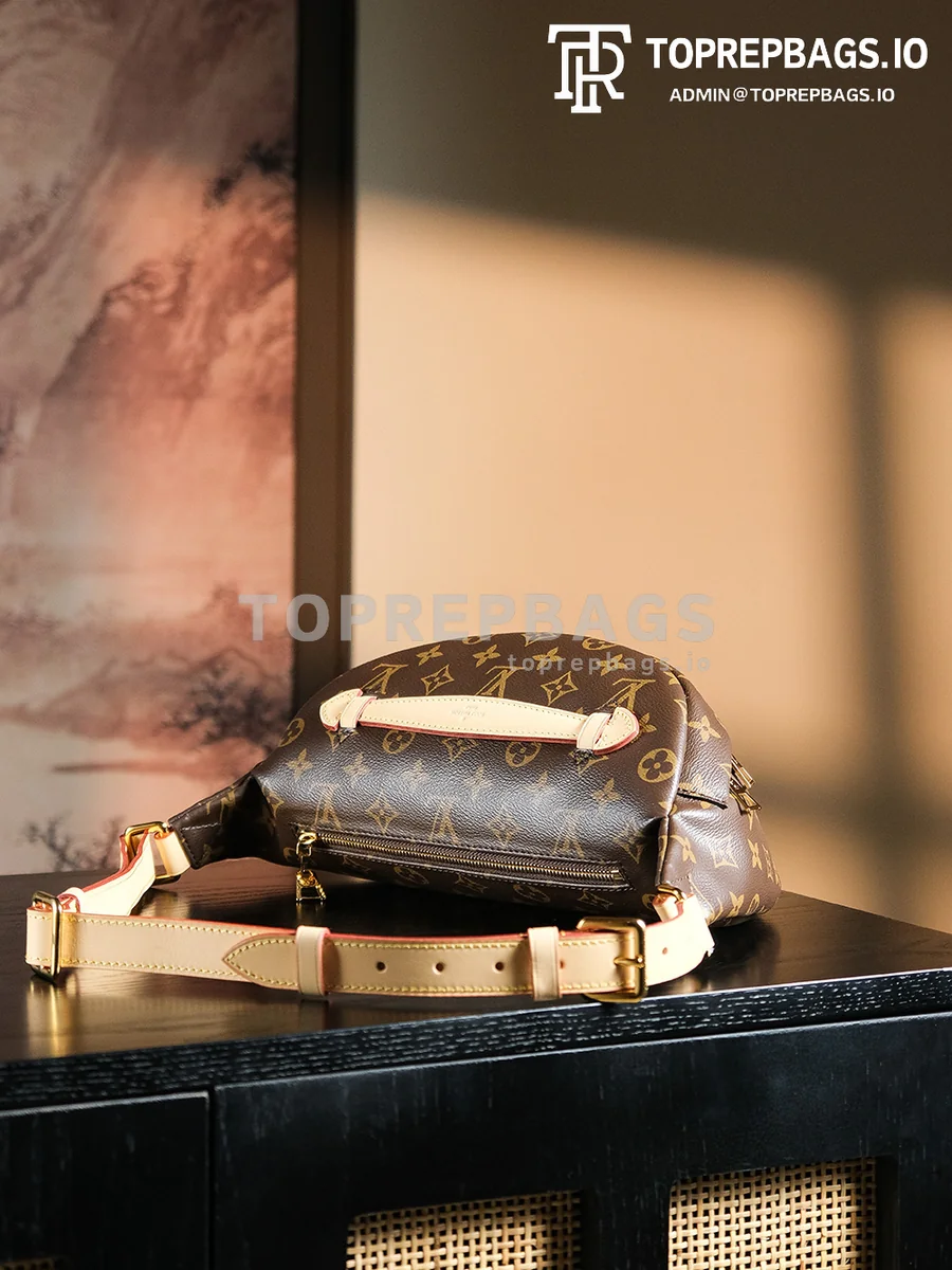 a1727438372258_7306 Louis Vuitton Bumbag in Brown