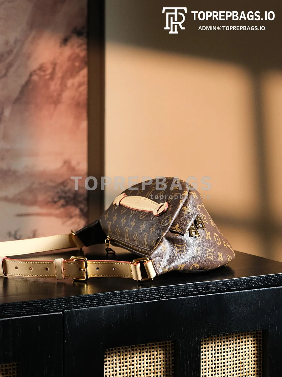 a1727438375057_4743 Louis Vuitton Bumbag in Brown