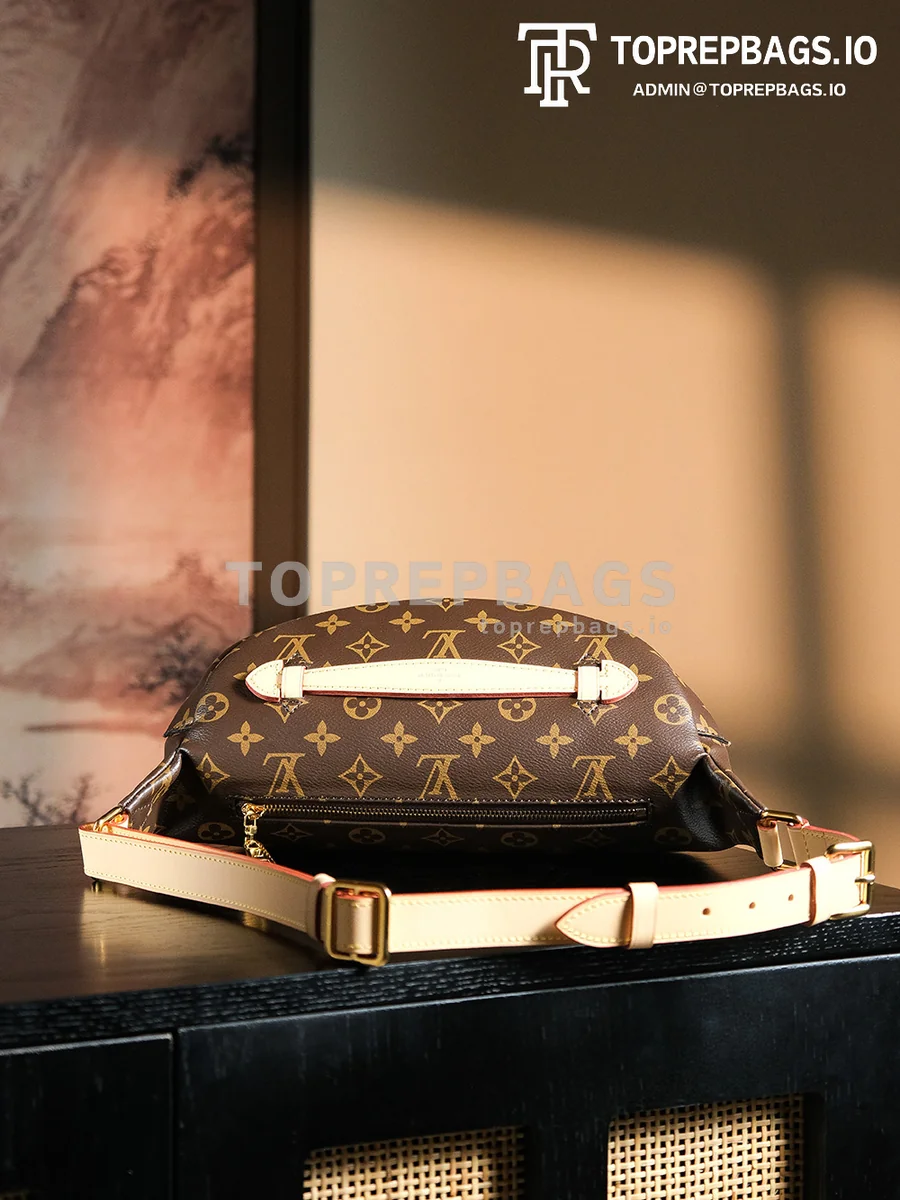 a1727438375059_5832 Louis Vuitton Bumbag in Brown